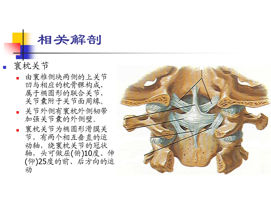 寰枕后肌筋膜挛缩型颈椎病课件文档资料.ppt_第3页