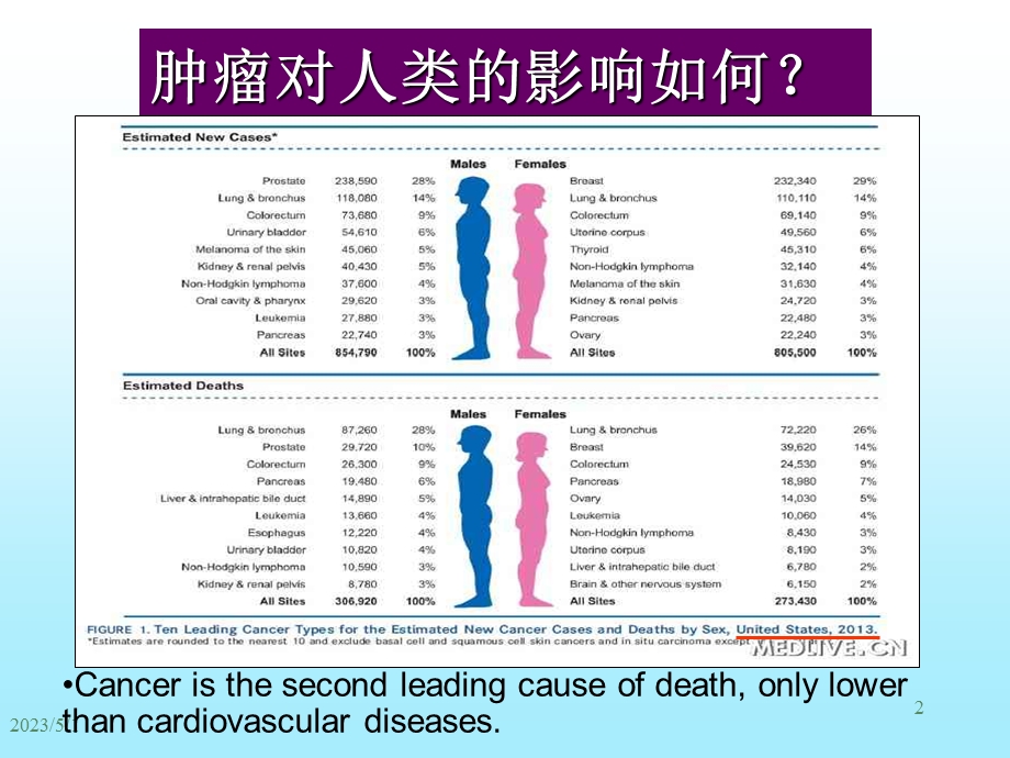 最新：本科病理学肿瘤文档资料.ppt_第2页