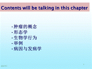 最新：本科病理学肿瘤文档资料.ppt