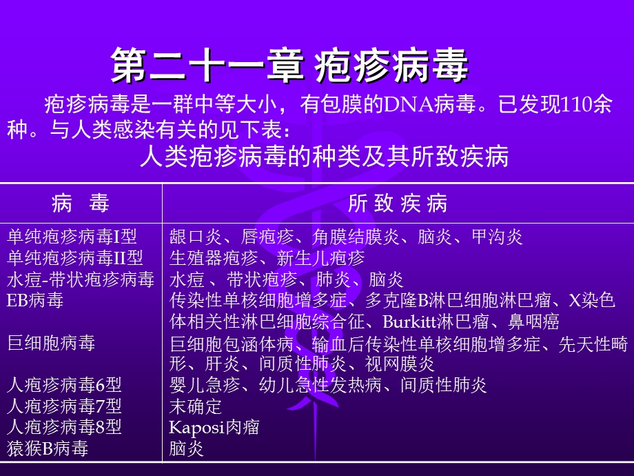 第二十一部分疱疹病毒名师编辑PPT课件.ppt_第1页