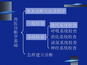 兽医临床诊断学循环系统检查PP课件PPT文档资料.ppt