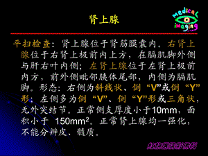 影像诊断课件肾上腺与腹膜后病变PPT文档.ppt