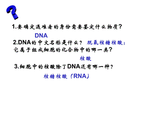 最新生物：观察DNA和RNA在细胞中的分布课件新人教版必修1PPT文档.ppt