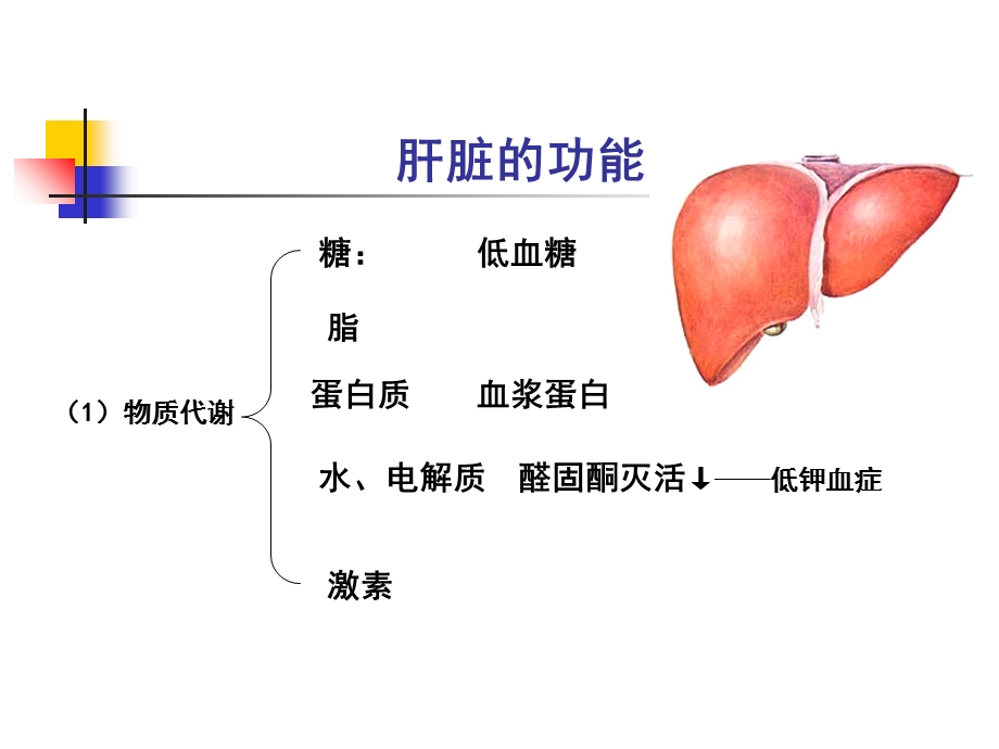 最新：第3章第5节肝衰文档资料.ppt_第1页