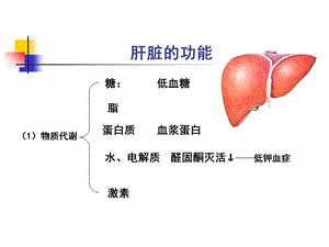 最新：第3章第5节肝衰文档资料.ppt