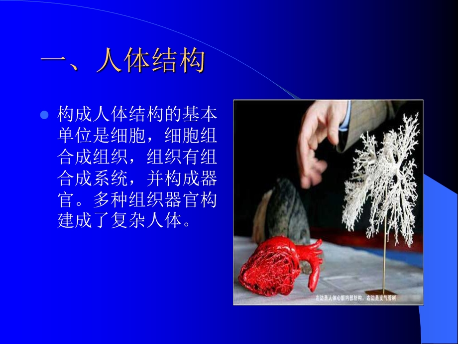 最新第二章医学基础第一节人体解剖生理PPT文档.ppt_第1页