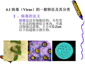 5第四章病毒了解PPT课件.ppt