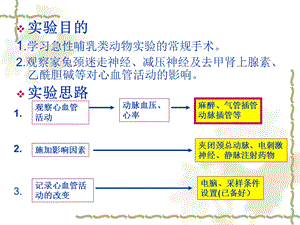 最新四动脉血压的神经体液调节PPT文档.ppt