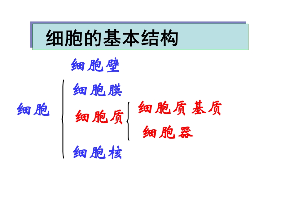 必一21细胞膜文档资料.ppt_第1页