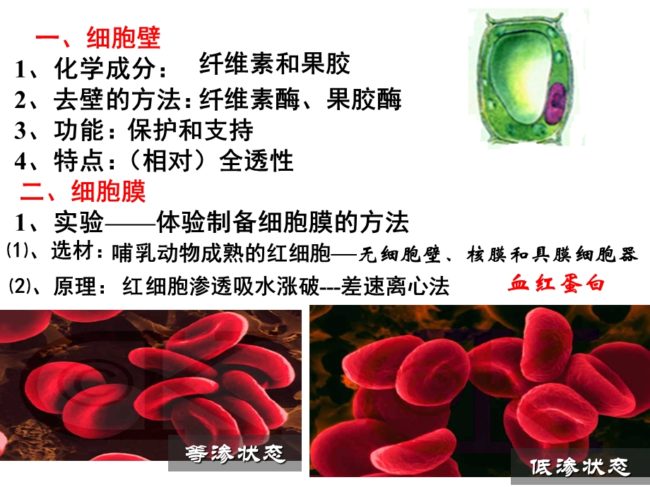 必一21细胞膜文档资料.ppt_第2页