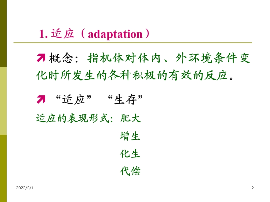 最新：病理学(四)文档资料.ppt_第2页