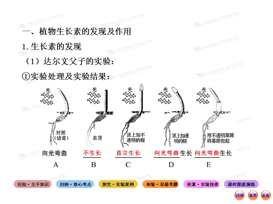 高中生物全程复习方略配套课件浙科版浙江专用：必修三 第一章 植物生命活动的调节.ppt_第3页