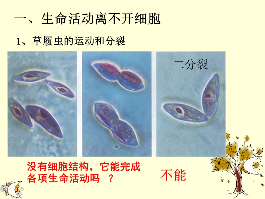 1.1从生物圈到细胞文档资料.ppt_第2页