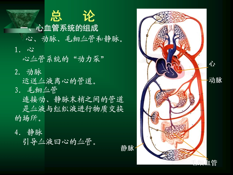 循环系统疾病修改精选文档.ppt_第1页