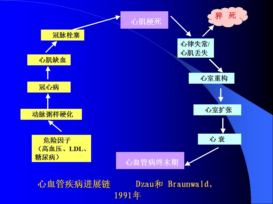 不同病因重症心力衰竭急诊救治对策PPT文档.ppt_第3页