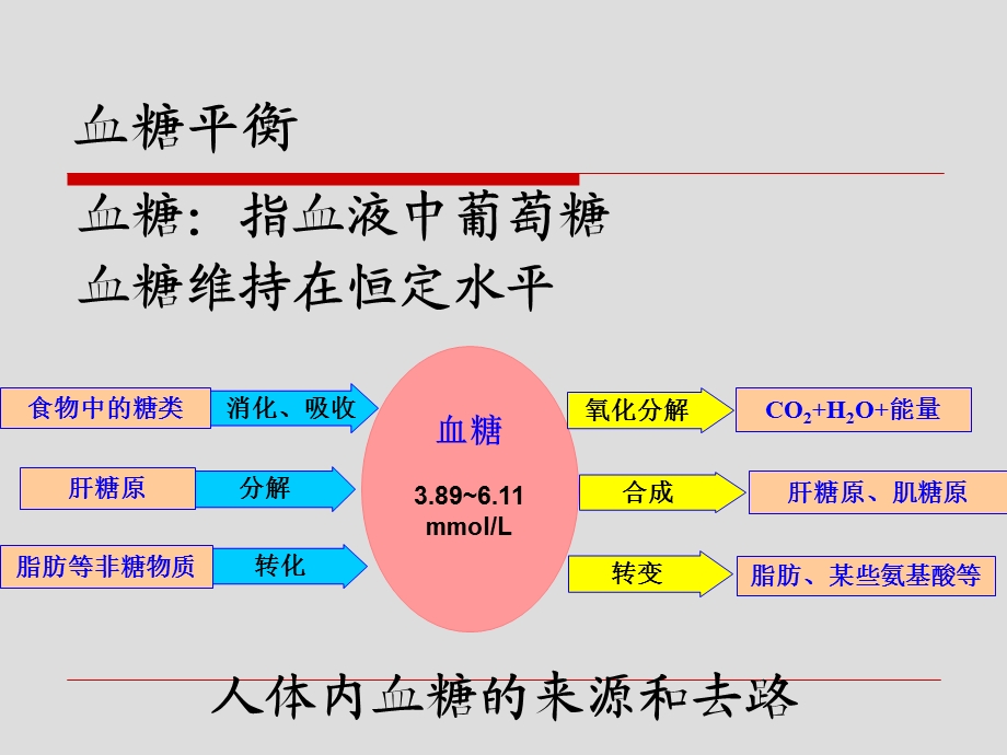 实验五激素对血糖浓度的影响文档资料.ppt_第1页