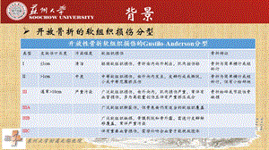 最新接骨板一期固定ⅲa型尺桡骨开放性骨折ppt课件PPT文档.ppt