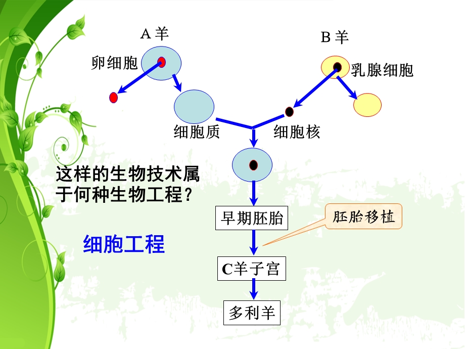 最新21植物细胞工程的基本技术PPT文档.ppt_第2页