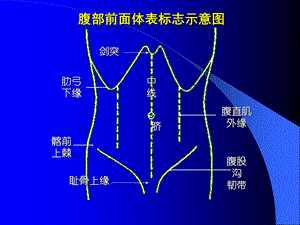 最新：诊断学础疾病概要腹部检查文档资料.ppt