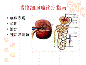 最新最新嗜铬细胞瘤诊疗指南PPT文档PPT文档.ppt