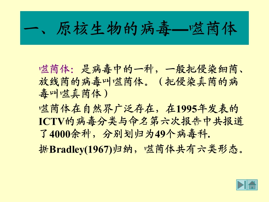 最新第三节各类病毒及其繁殖方式PPT文档.ppt_第1页