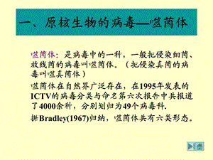 最新第三节各类病毒及其繁殖方式PPT文档.ppt