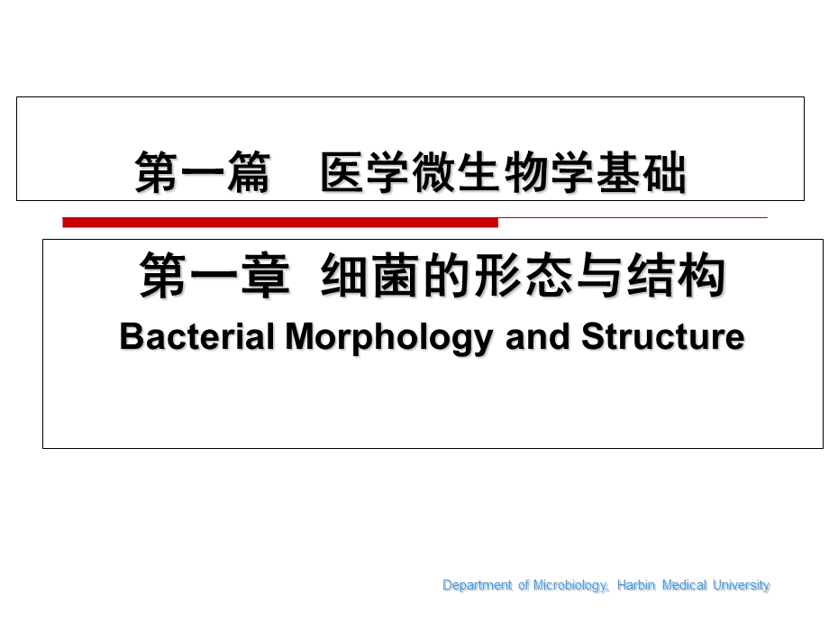 最新：细菌的形态与结构PPT课件文档资料.ppt_第1页