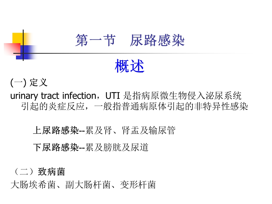 最新：第六章泌尿生殖系统疾病康复..课件文档资料.ppt_第2页