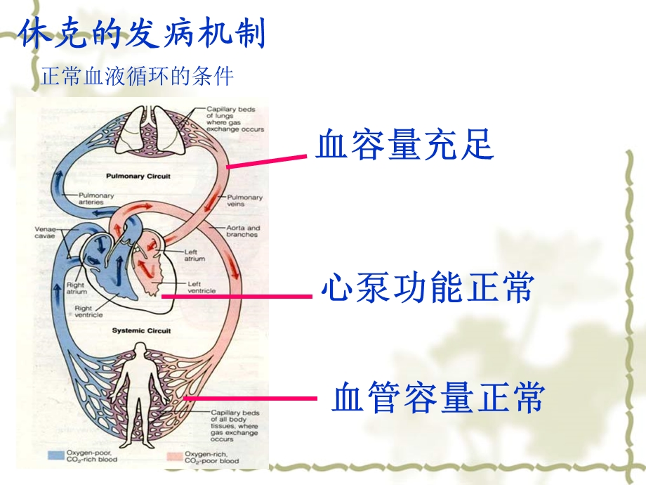 最新休克的分类及抢救PPT文档.ppt_第3页