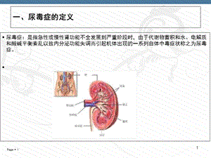 尿毒症病人的护理PPT文档资料.ppt