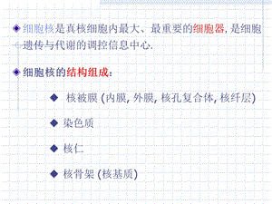 第十章细胞核nucleus与染色体文档资料.ppt