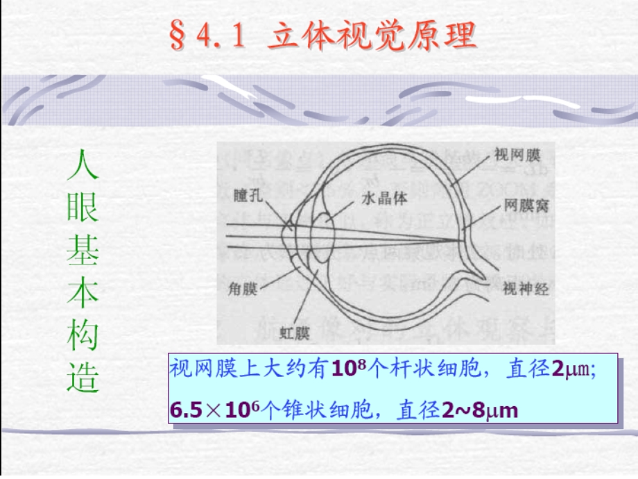 第五章立体观察和立体观测名师编辑PPT课件.ppt_第3页