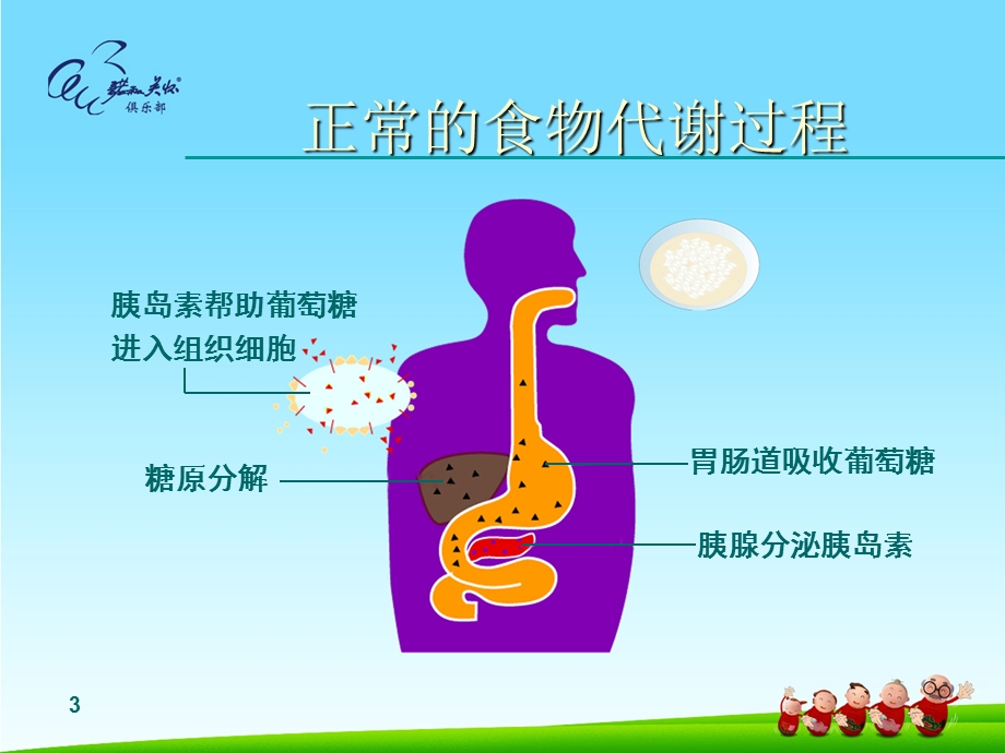 最新糖尿病健康知识讲座PPT文档.ppt_第3页