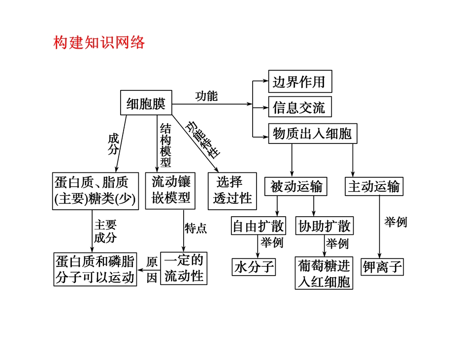 最新：必修1第二单元第一讲细胞膜与细胞核含生物膜的流动镶嵌模型文档资料.ppt_第1页