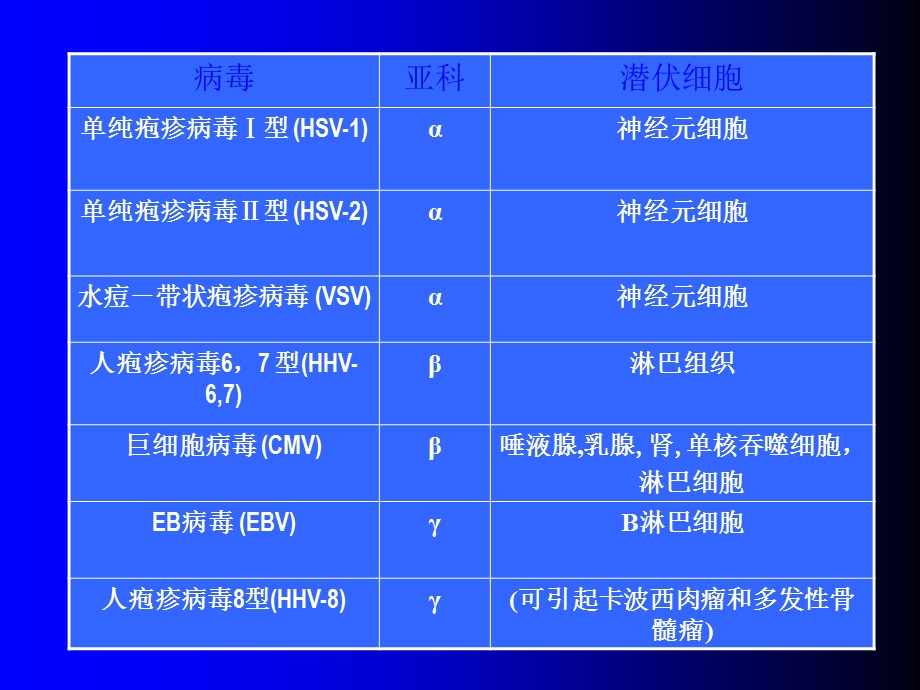 疱疹病毒介绍文档资料.ppt_第1页