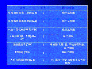 疱疹病毒介绍文档资料.ppt