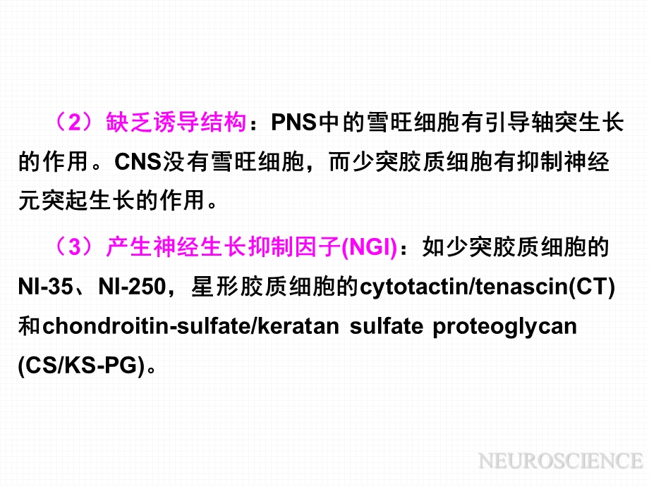 6发育神经生物学基础23神经损伤和神经营养物质文档资料.ppt_第3页