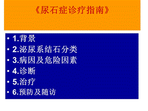 尿路结石的标准化治疗PPT课件.ppt