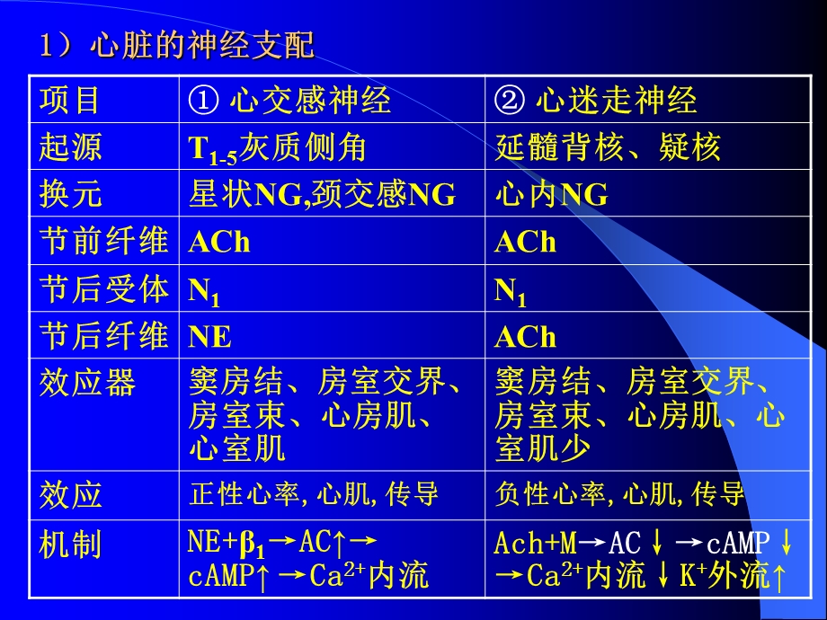 最新第三节心血管活动的调节PPT文档.ppt_第2页