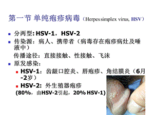 最新医学微生物学课件第28章疱疹病毒PPT文档.ppt