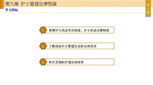 护理伦理和法规 第九章 护士管理法律制度PPT文档.ppt