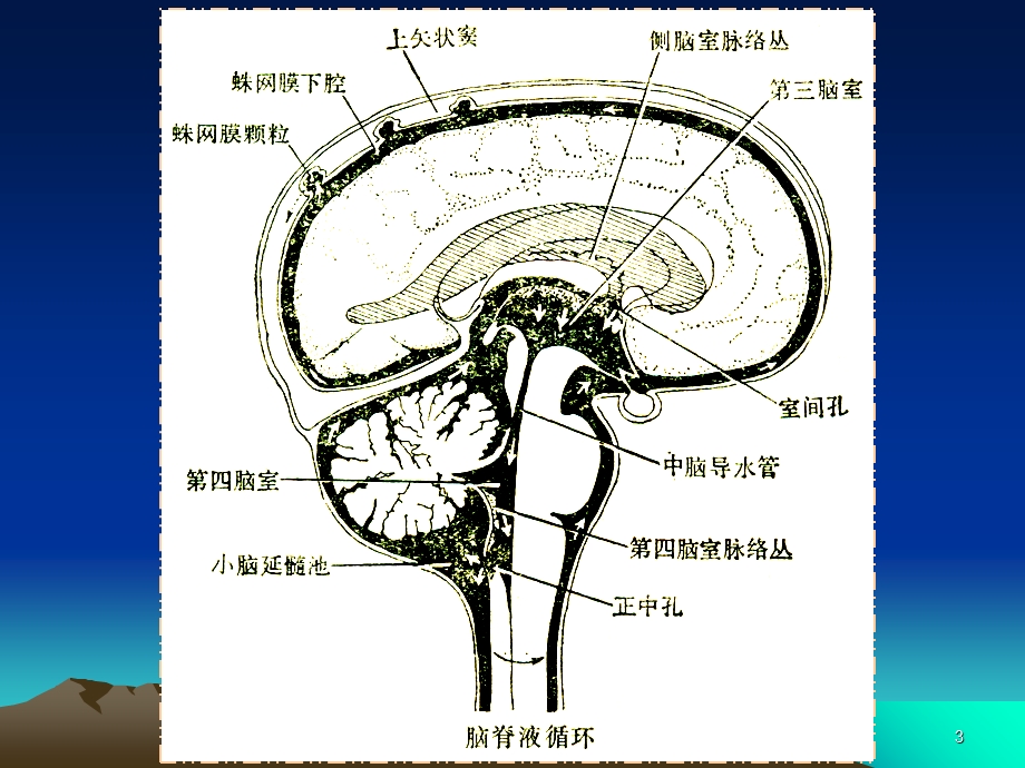 最新最新：脑脊液检查文档资料PPT文档.ppt_第3页