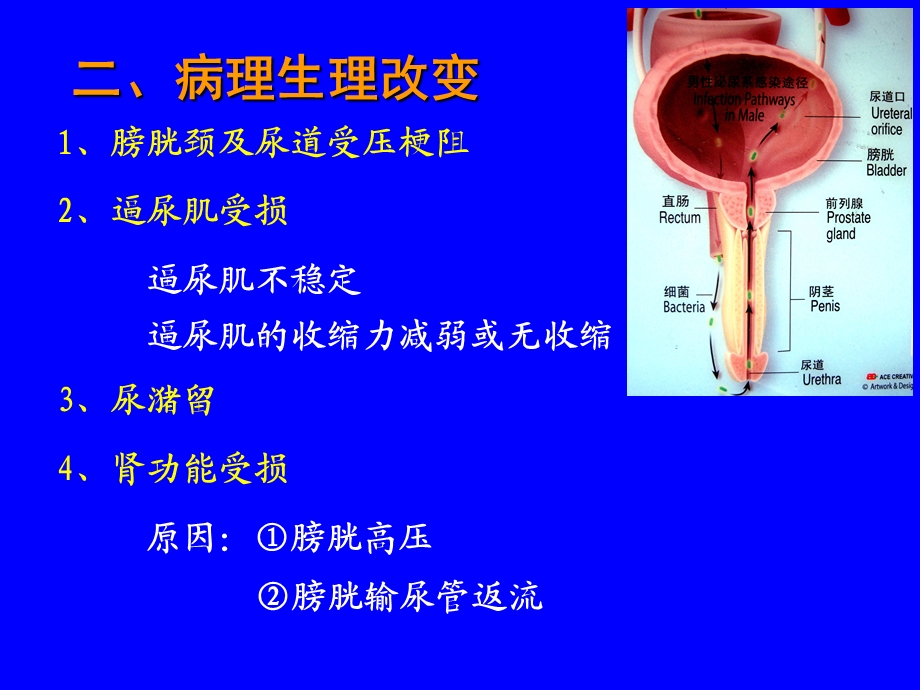 最新中国BP临床诊疗指南李院长PPT文档.ppt_第2页