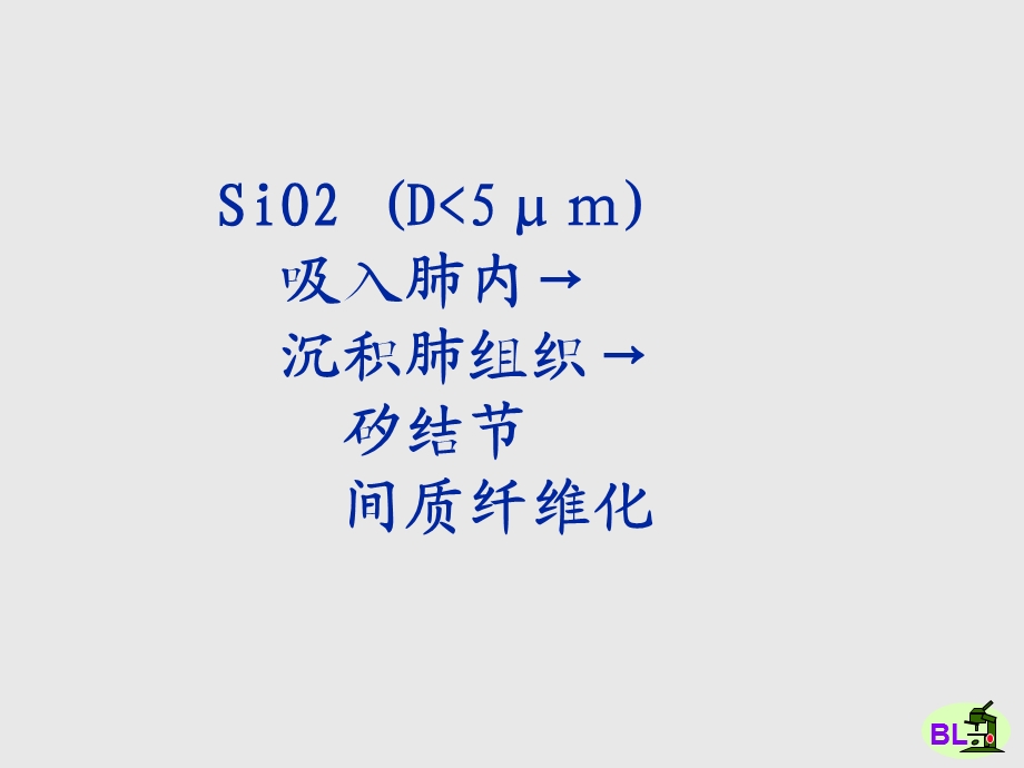 最新第八章呼吸系统疾病PPT文档.ppt_第3页