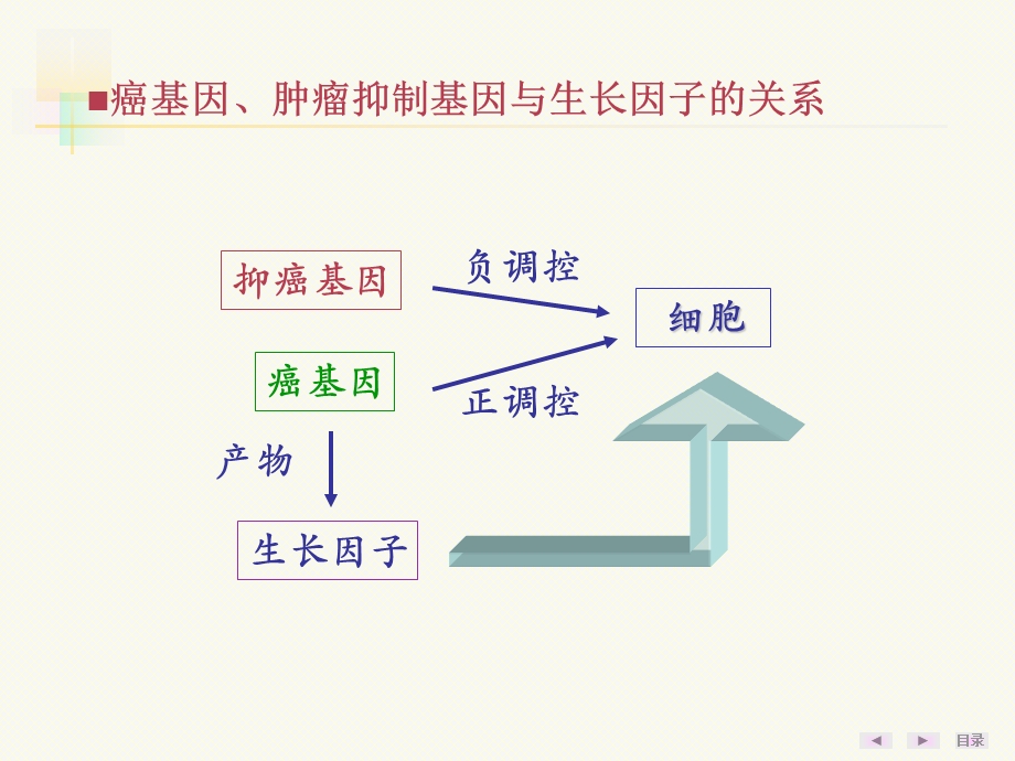 最新：癌基因、肿瘤抑制基因与生长因子文档资料.ppt_第2页