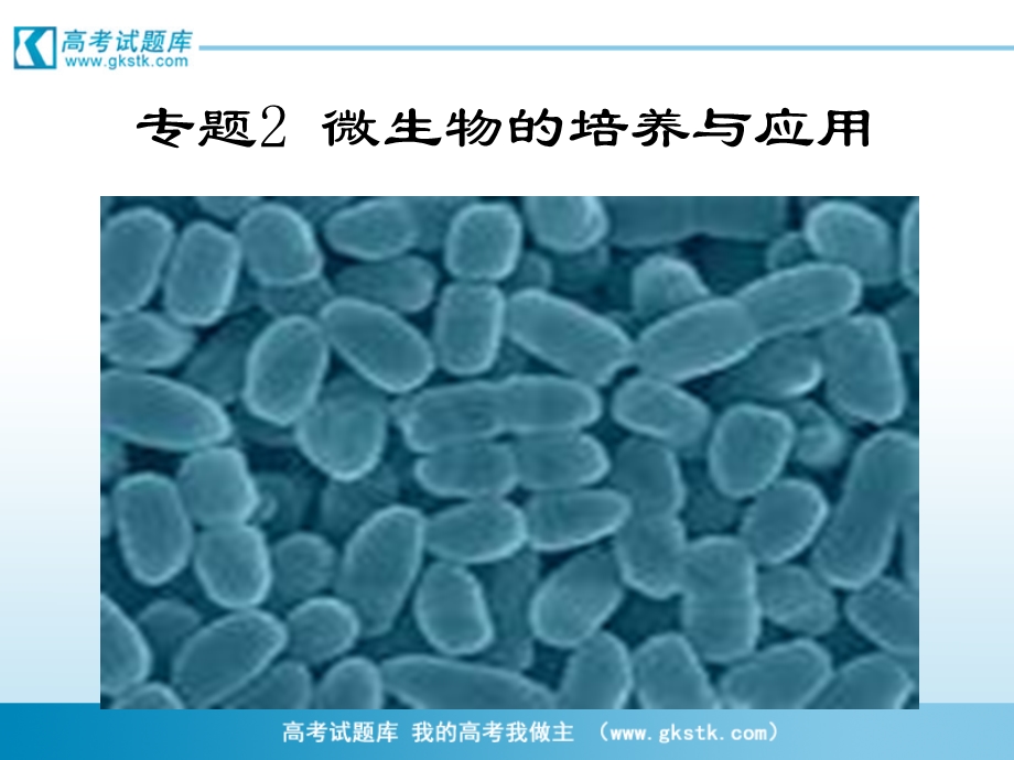 土壤中分解尿素的细菌的分离与计数课件1新人教版选修1PPT文档资料.ppt_第1页