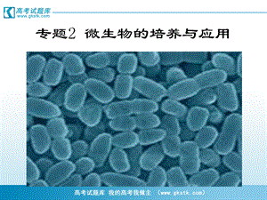 土壤中分解尿素的细菌的分离与计数课件1新人教版选修1PPT文档资料.ppt