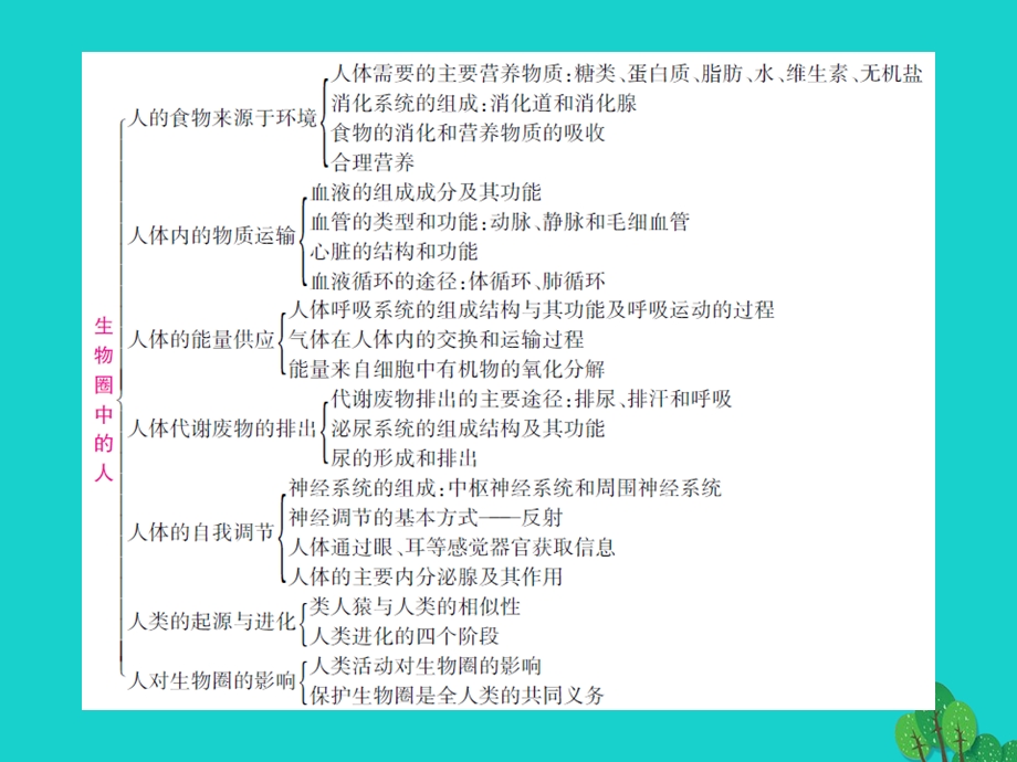 中考生物总复习知能综合突破专题4生物圈中的人课件新人教版.pptx_第1页