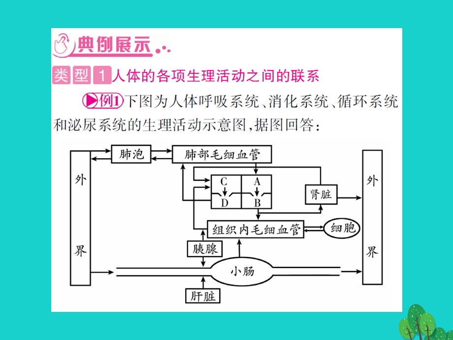 中考生物总复习知能综合突破专题4生物圈中的人课件新人教版.pptx_第2页