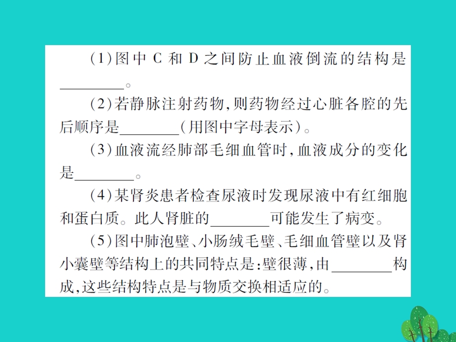 中考生物总复习知能综合突破专题4生物圈中的人课件新人教版.pptx_第3页